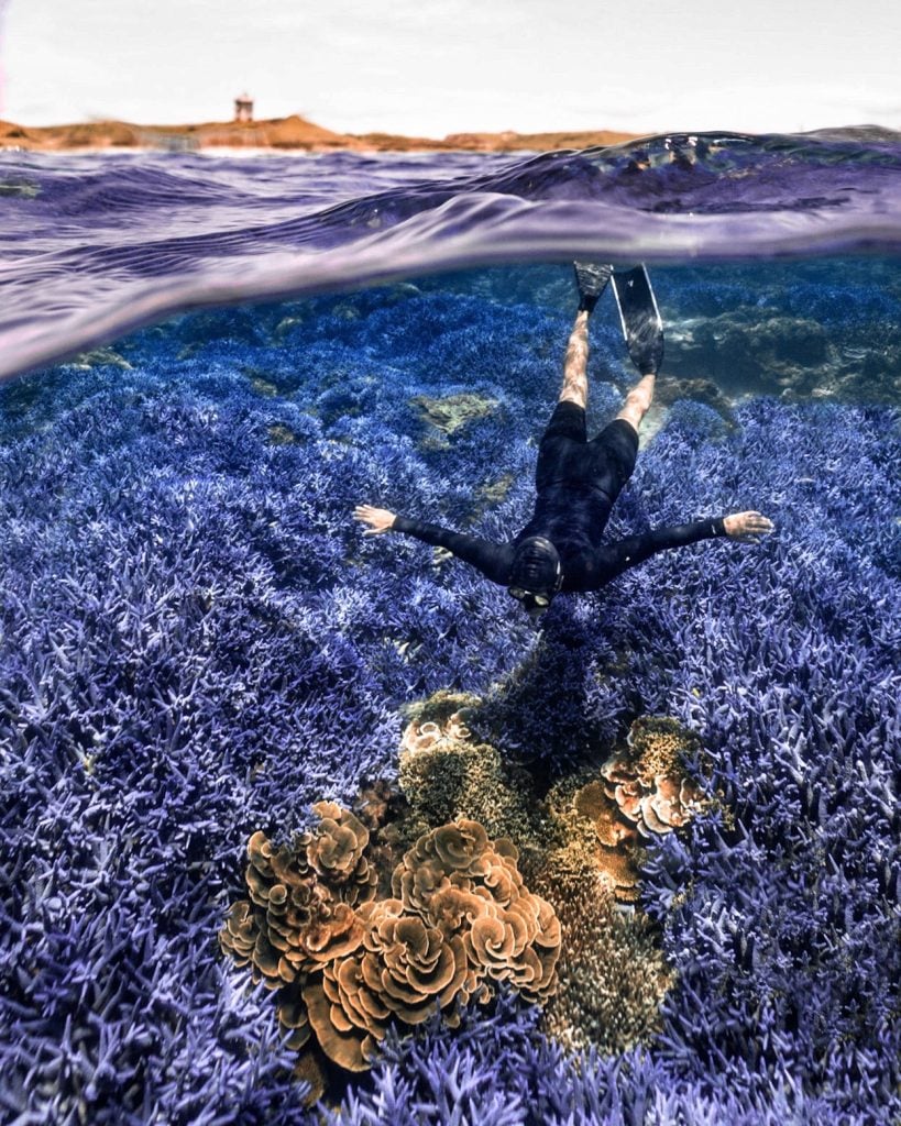 浮淺