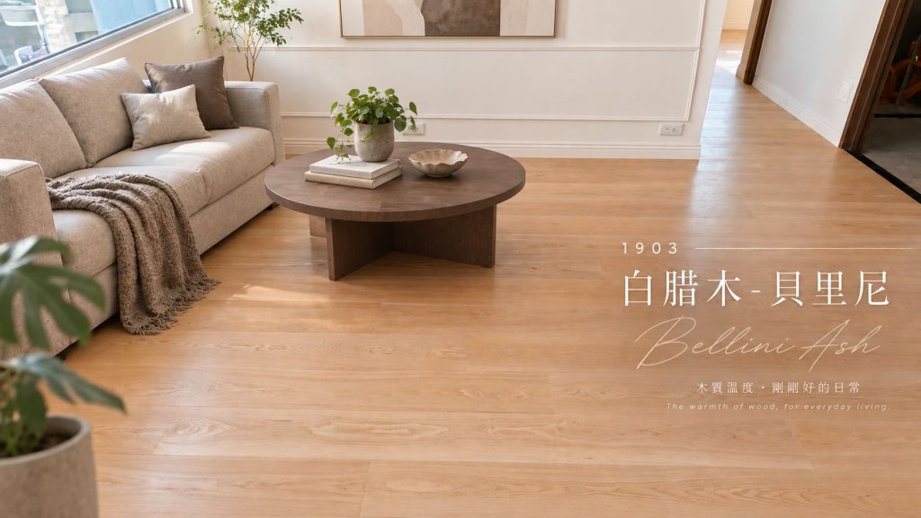 1903貝里尼白腊木
